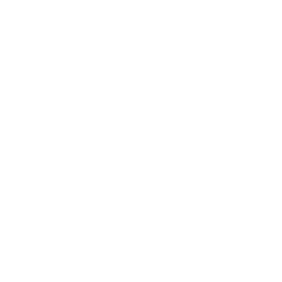 Fitness Leader