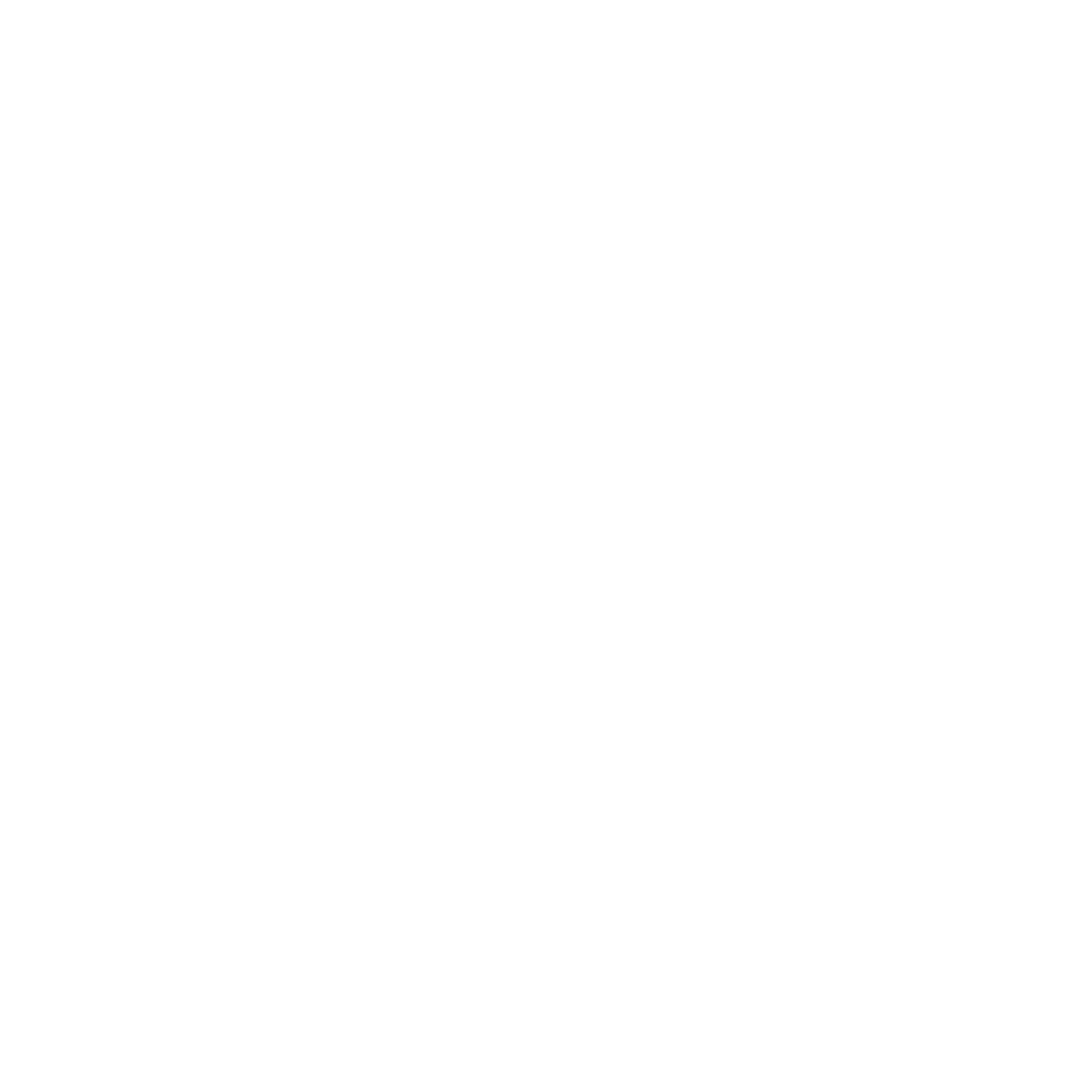Master Organiser